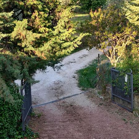 Il Rusticano Chianni Εξωτερικό φωτογραφία