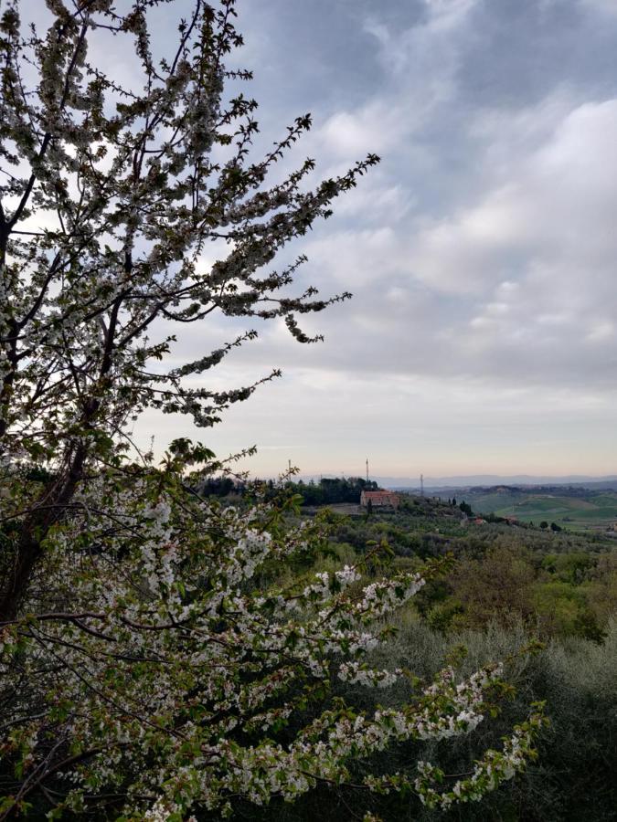 Il Rusticano Chianni Εξωτερικό φωτογραφία