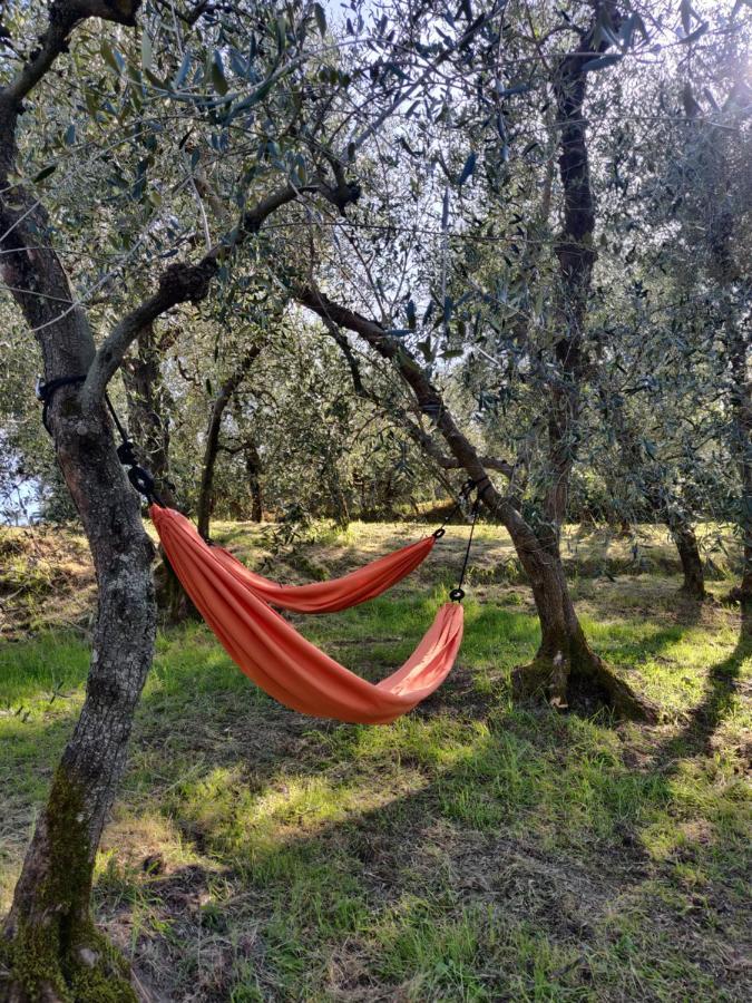 Il Rusticano Chianni Εξωτερικό φωτογραφία