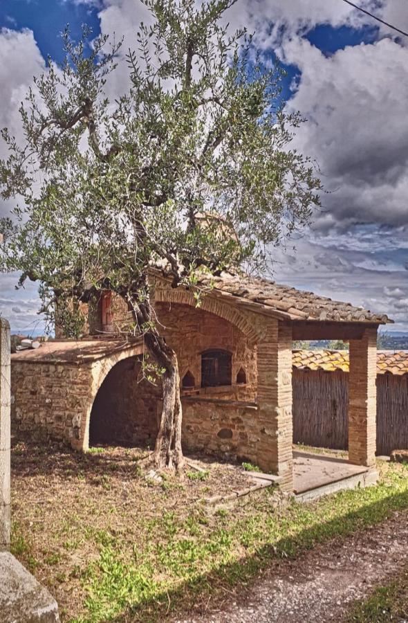 Il Rusticano Chianni Εξωτερικό φωτογραφία